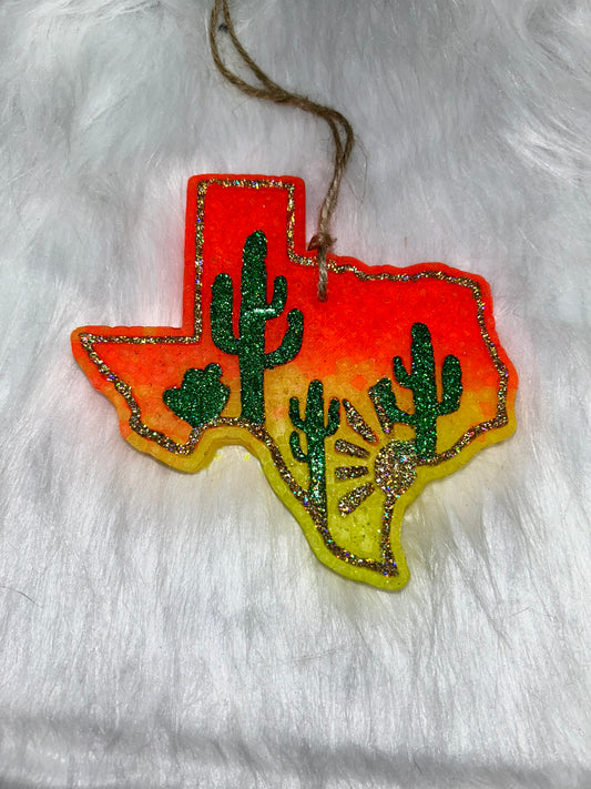 Texas Cactus Sunset
